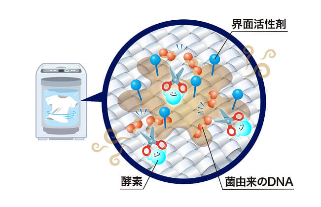 洗浄中イメージ